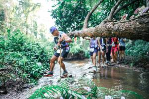 BIB: 
                            <button type="button" onclick="openModal(25466971)" class="btn btn-primary btn-sm float-right btn-popup" data-toggle="modal" data-target=".modal-high-quality">
                        <i class="fas fa-shopping-cart"></i> Add to Cart
                    </button>
                                            <button type="button" onclick="isThisMe(25466971, true)" class="btn btn-success btn-sm float-right btn-popup btn-isme hidden" data-toggle="tooltip" data-placement="bottom" title="นี่คือรูปของคุณใช่ไหม คลิกที่นี่เพื่อเอาเข้าอัลบั้ม">
                        <i class="fas fa-plus"></i> Add to album
                    </button>
                    <button type="button" onclick="isThisMe(25466971, false)" class="btn btn-warning btn-sm float-right btn-popup btn-isnotme hidden">
                        <i class="fas fa-ban"></i> Remove from album
                    </button>